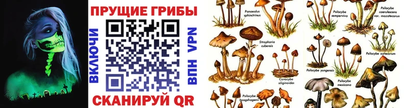 Галлюциногенные грибы прущие грибы  blacksprut как войти  Соль-Илецк 
